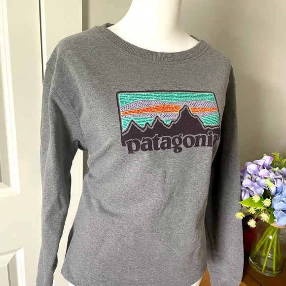 Patagonia Tops - Patagonia sweatshirt